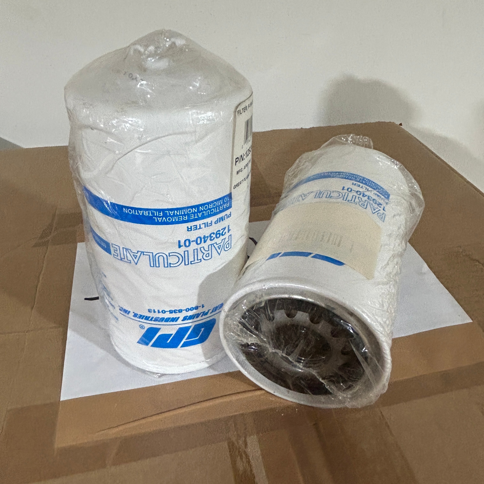 Filtro Particulado GPI 129340-01 para Bomba